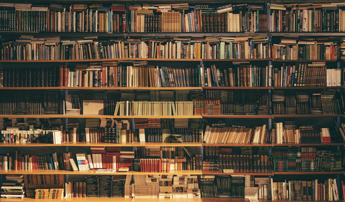 Books lining the shelves of a quiet library